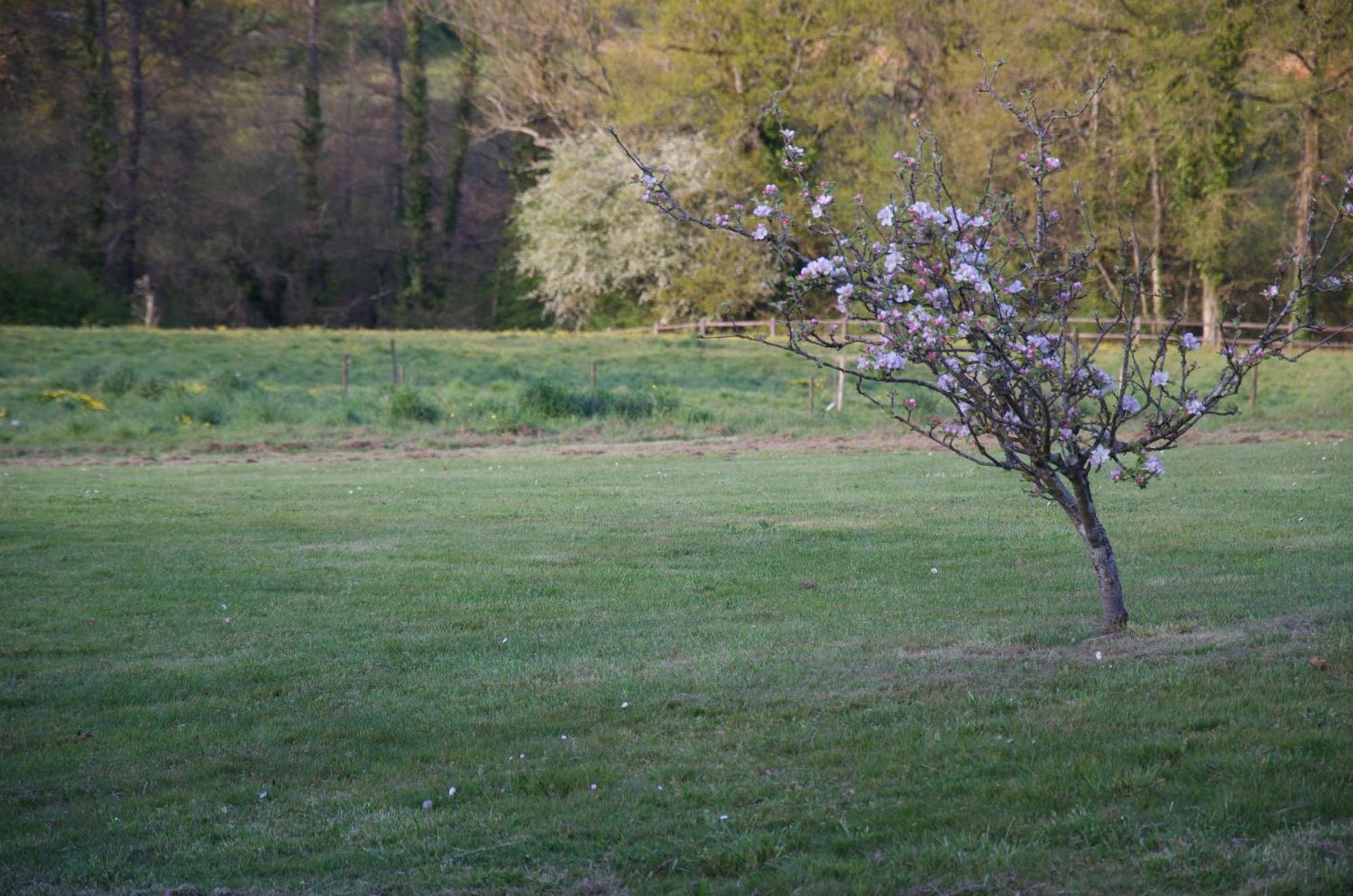 Gite Le Champ Libre Dompierre-Sur-Yon Exterior foto